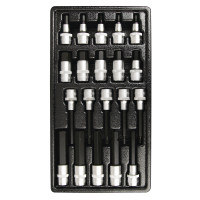 Набор головок 1/2" с шестигранниками в ложементе, 20 предметов.  T33225