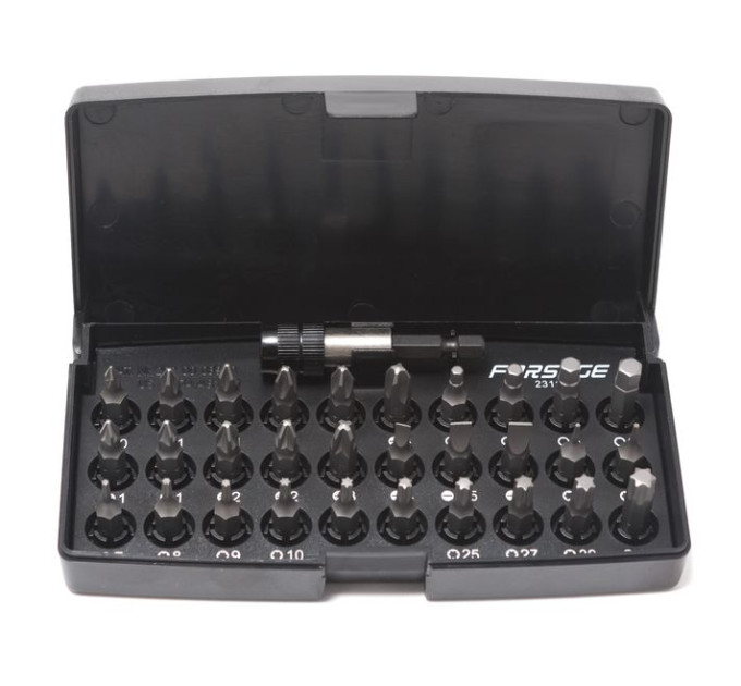 Набір біт 31пр. 1/4" з бітотримачем (Phillips: PH0, PH3; Slotted: SL4, SL6.5; Pozidriv: PZ1, PZ3; Torx: T40, T5; HEX: H3, H6 мм )