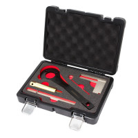 Набір фіксаторів для бензинових двигунів з ланцюговим приводом BMW, MINI, Citroen, Peugeot Forsage F-905G12D