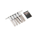 Набор головок-бит 5пр. 1/2" Torx 6-лучевых (Т60, Т70, Т80, Т90, Т100; L-100мм) на планке Forsage F-40914L