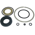 Комплект резиновых колец и прокладок к домкрату T82003 ROCKFORCE T82003-P