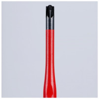 Отвертка (тонкая) PlusMinus KNIPEX 98 25 01 SLS Отвертка (тонкая) PlusMinus KNIPEX 98 25 01 SLS
