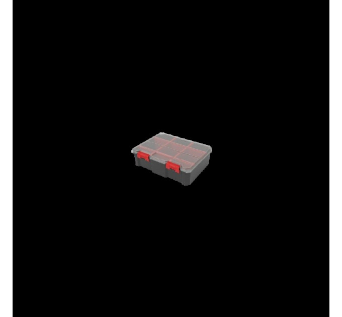 Органайзер QBRICK REGULAR Compact L Plus Black (290x220x84мм) (5901238263210)