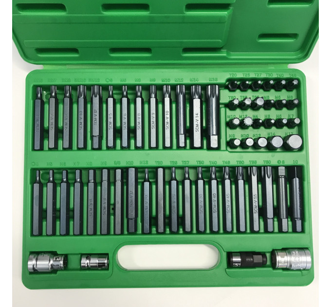 Профессиональный набор бит TORX, HEX, SPLINE, RIBE, SQ 60ед. TOPTUL GCAI6003